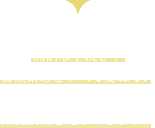 リット法律事務所であれば面倒な手続きや書類集めをすべて委ねて、心にゆとりを持って相続放棄を完了できます。
