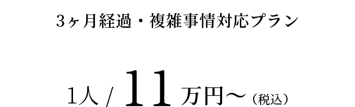 3ヶ月経過・複雑事情対応プラン 1人 / 9.9万円〜（税込）